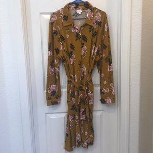 LuLaRoe Button Up Collared Dress (Ellie)
